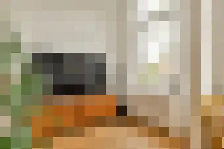 Jacob van Lennepkade 285 2 Amsterdam thumbnail 8
