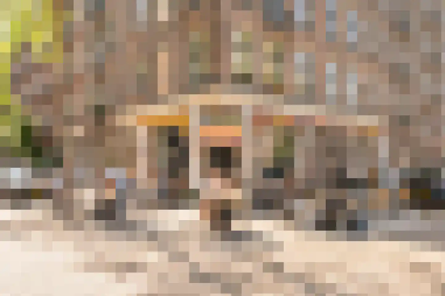 Jacob van Lennepkade 336 2 Amsterdam thumbnail 29