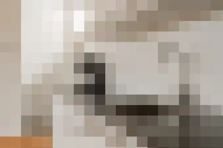 Jacob van Lennepkade 342 3 Amsterdam thumbnail 17