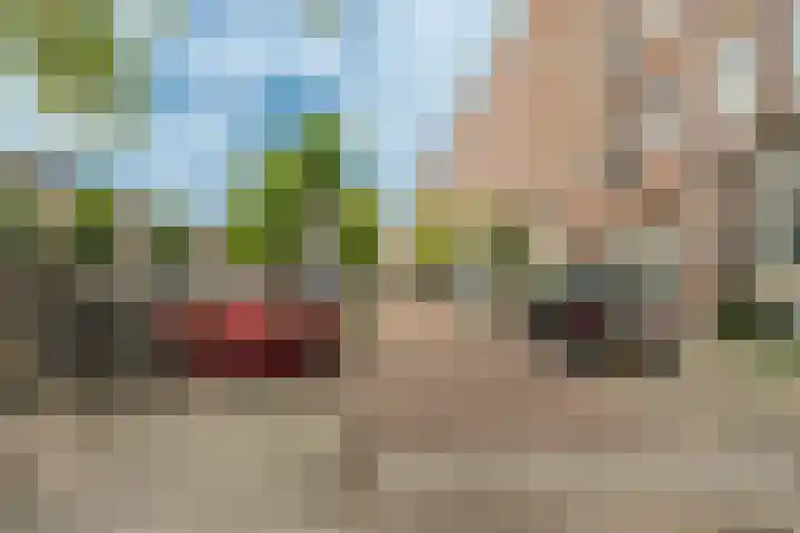 Jacob van Lennepkade 342 3 Amsterdam thumbnail 35