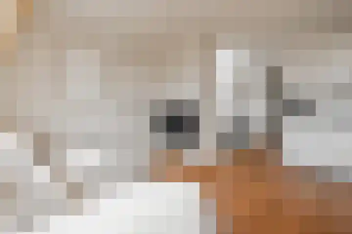 Jacob van Lennepkade 342 3 Amsterdam thumbnail 9