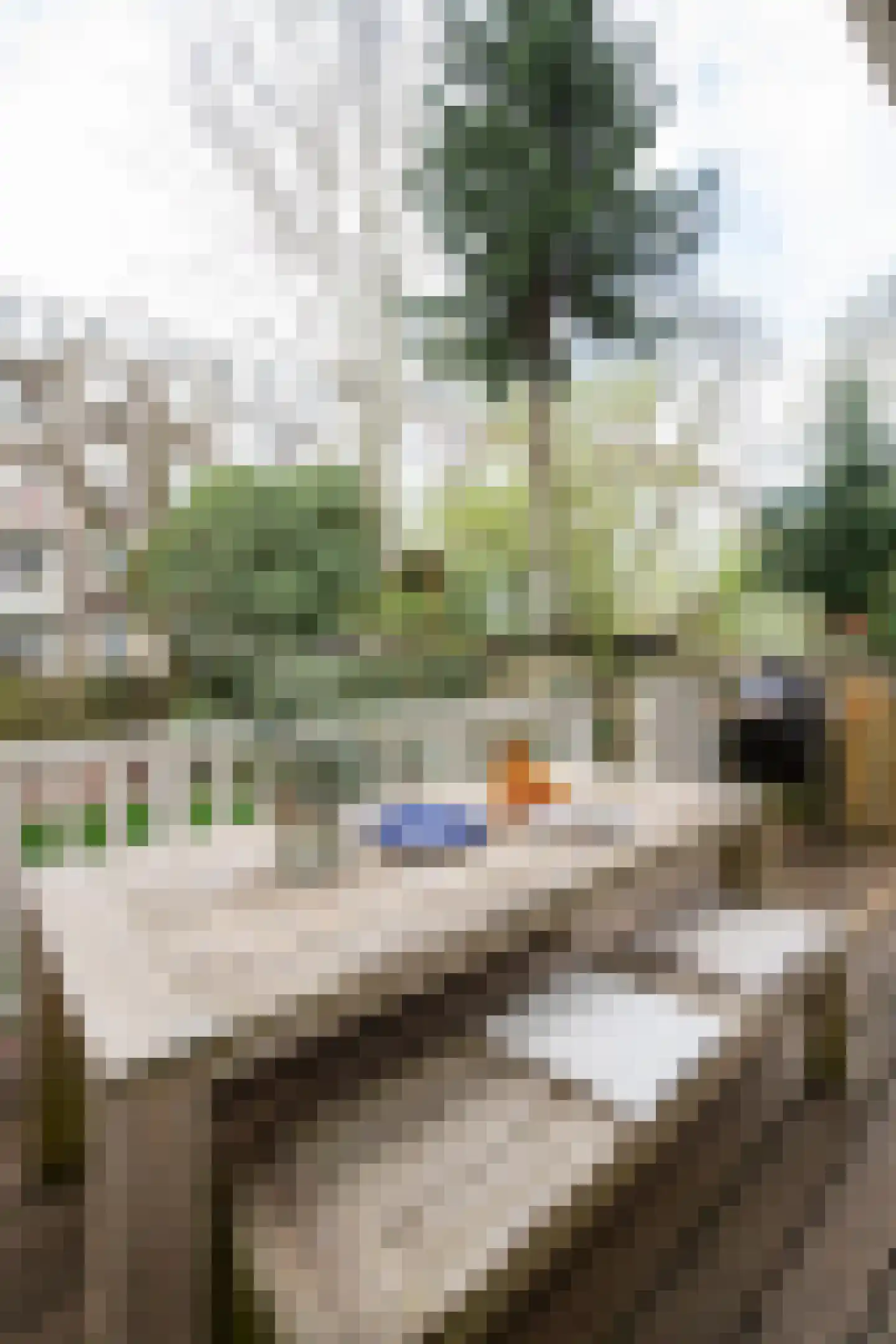Jacob van Lennepkade 362 2 Amsterdam thumbnail 25