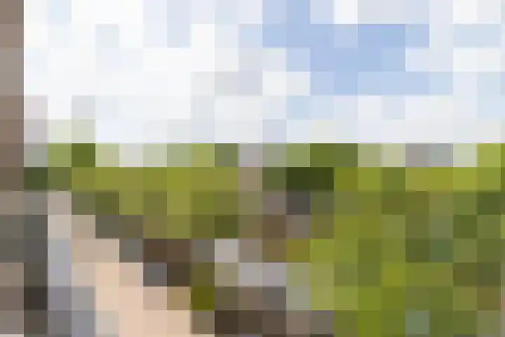 Jacob van Lennepkade 41 2 Amsterdam thumbnail 4