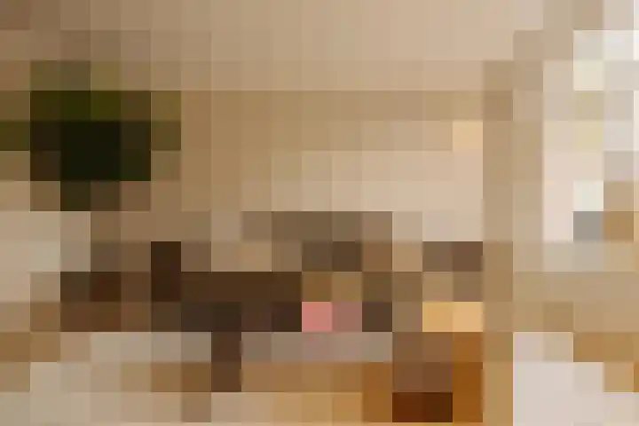 Jacob van Lennepkade 41 H Amsterdam thumbnail 8