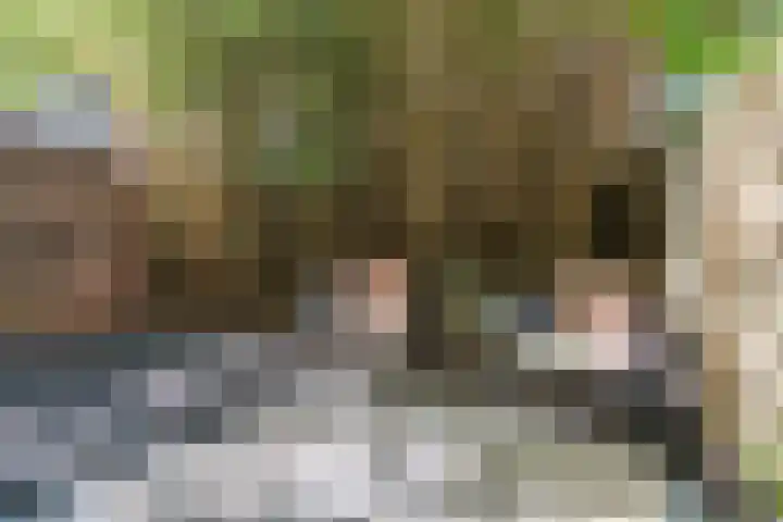 Jacob van Lennepkade 418 3 Amsterdam thumbnail 23