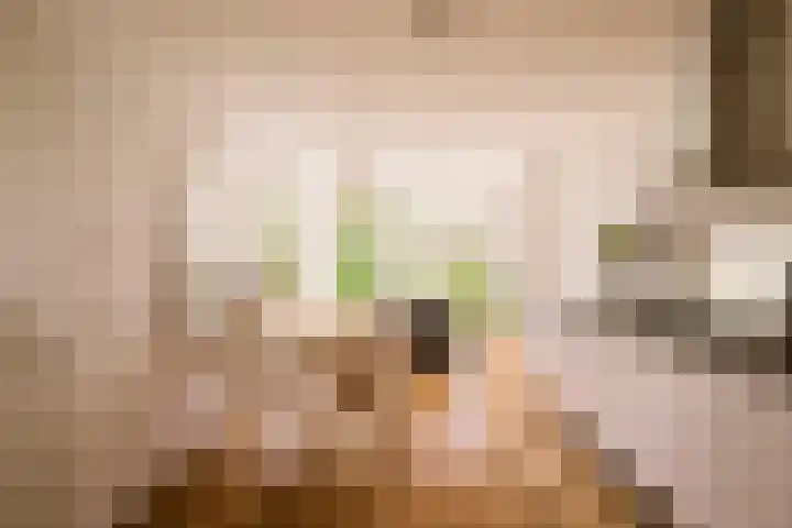 Jacob van Lennepkade 52 3 Amsterdam thumbnail 14