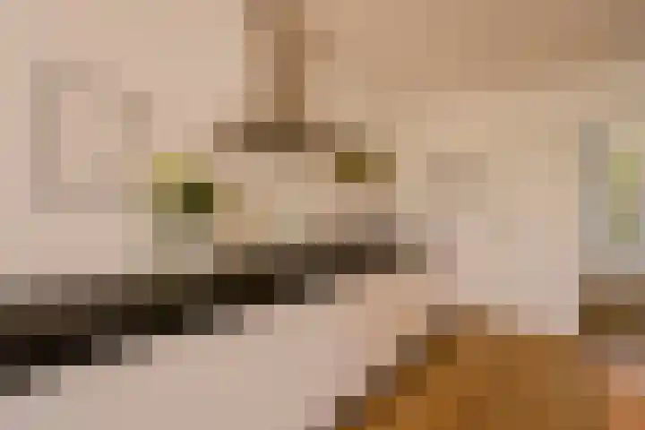 Jacob van Lennepkade 52 3 Amsterdam thumbnail 19