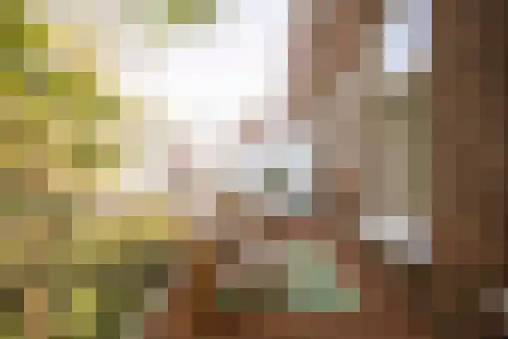 Jacob van Lennepkade 52 3 Amsterdam thumbnail 21