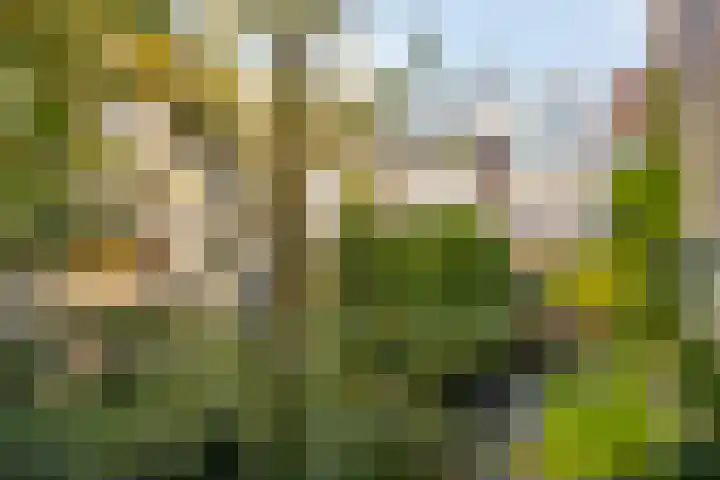 Jacob van Lennepkade 52 3 Amsterdam thumbnail 31
