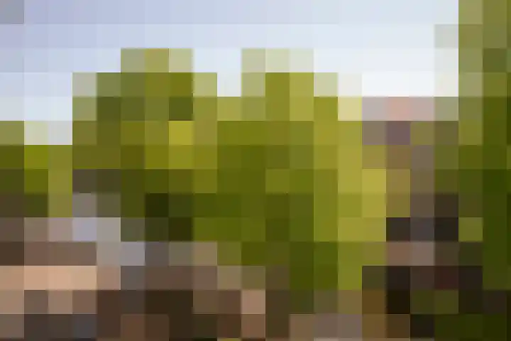 Jacob van Lennepkade 52 3 Amsterdam thumbnail 9