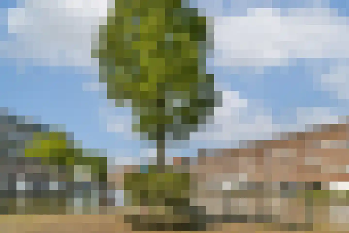 Jacob van Lennepkade 606 Amsterdam thumbnail 22