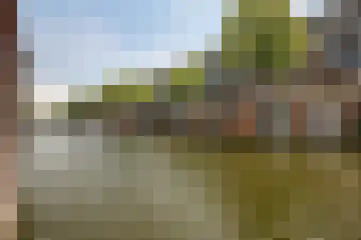 Jacob van Lennepkade 608 Amsterdam thumbnail 10