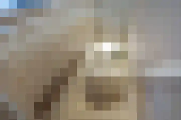 Jacob van Lennepkade 64 3 Amsterdam thumbnail 12