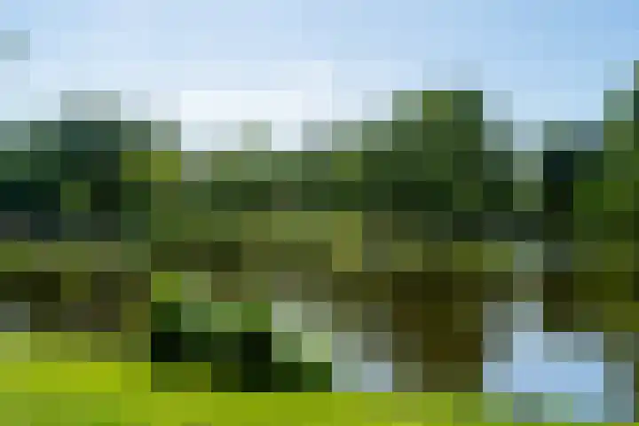 Jacob van Lennepkade 80 A Amsterdam thumbnail 32