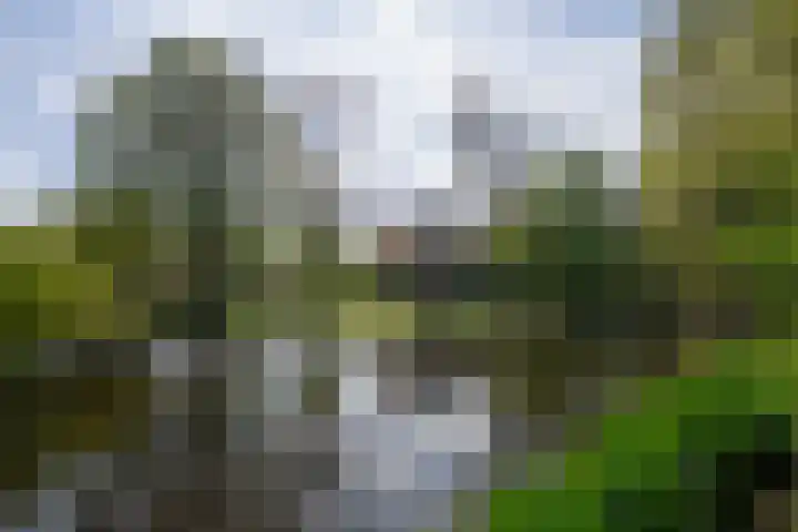 Jacob van Lennepkade 80 A Amsterdam thumbnail 33