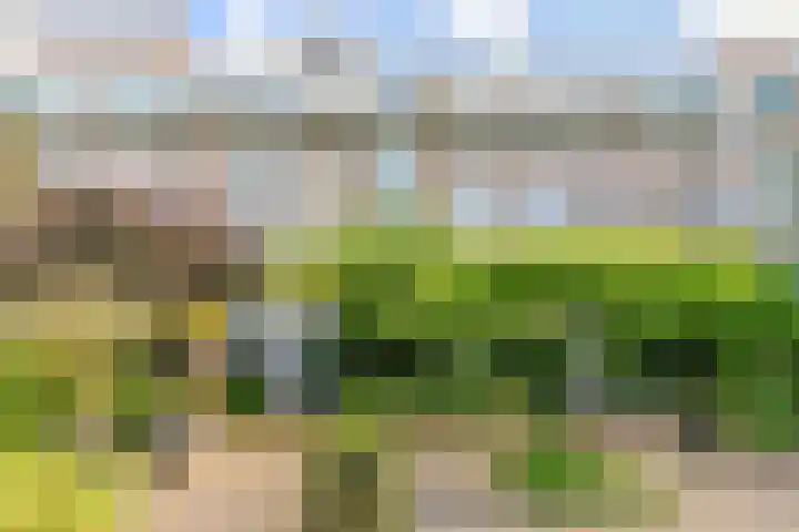 Jacob van Lennepkade 92 D Amsterdam thumbnail 23