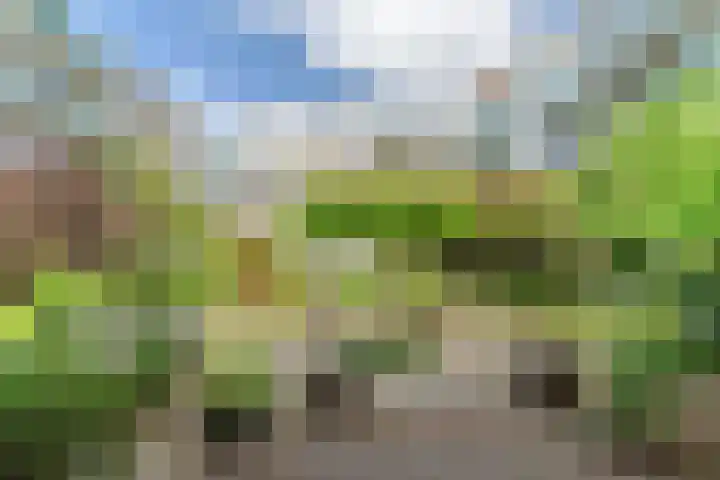 Jacob van Lennepkade 92 D Amsterdam thumbnail 24