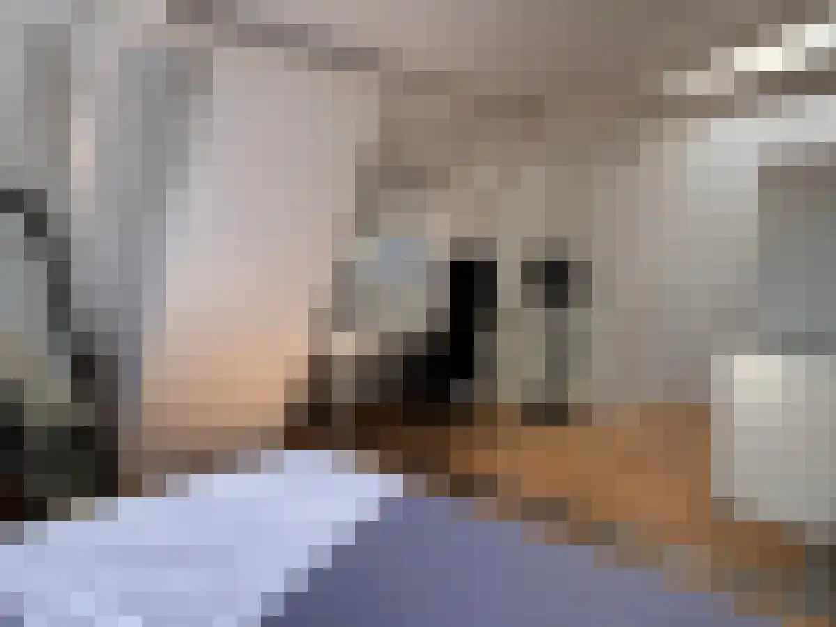 Jacob van Lennepkade Amsterdam thumbnail 6