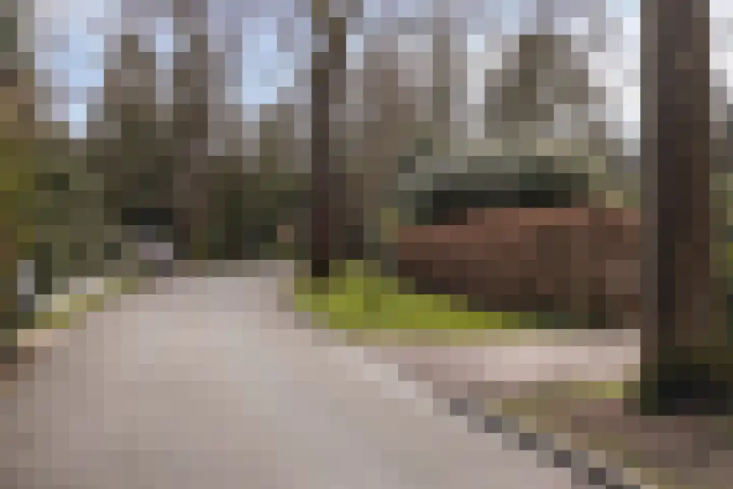 Jacob van Lenneplaan 39 A Baarn thumbnail 61
