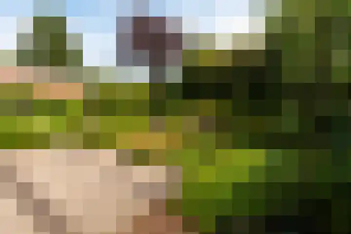 Jacob van Lenneplaan 9 Baarn thumbnail 20