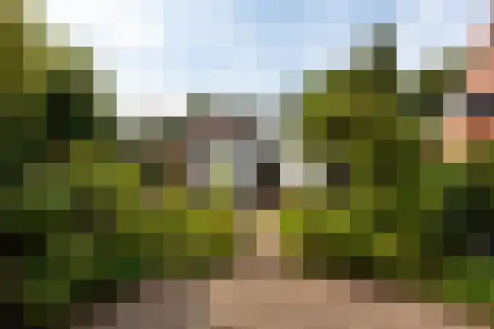 Jacob van Lenneplaan 9 Baarn thumbnail 22