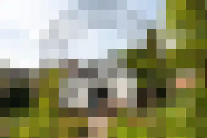 Jacob van Lenneplaan 9 Baarn thumbnail 23