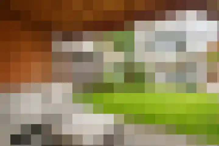 Jacob van Lennepplein 2 Zeist thumbnail 25