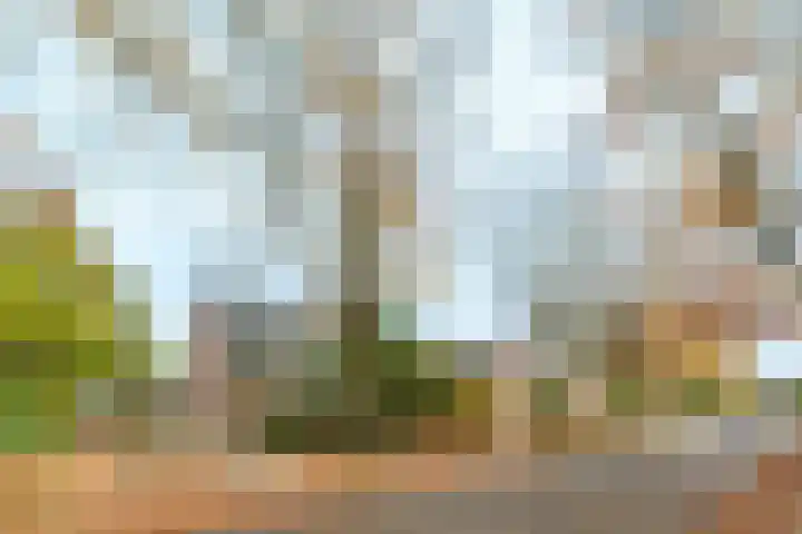 Jacob van Lennepplein 2 Zeist thumbnail 28