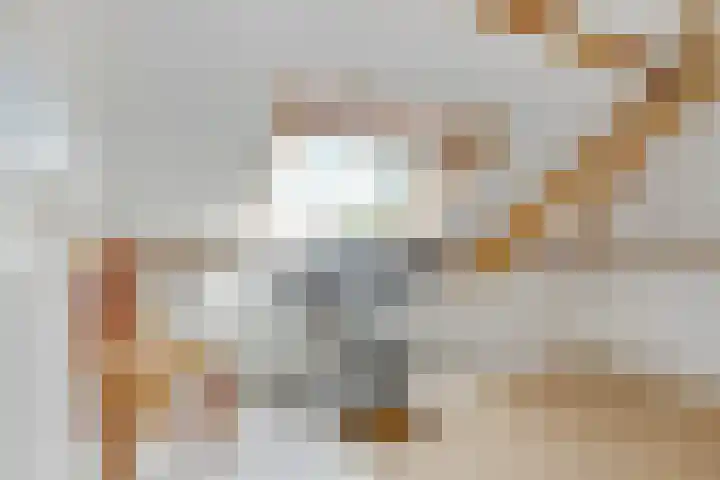 Jacob van Lennepplein 5 Zeist thumbnail 33