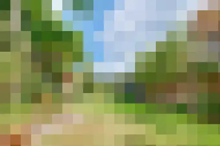 Jacob van Lennepplein 5 Zeist thumbnail 36