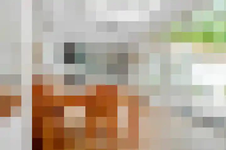Jacob van Lennepplein 5 Zeist thumbnail 6