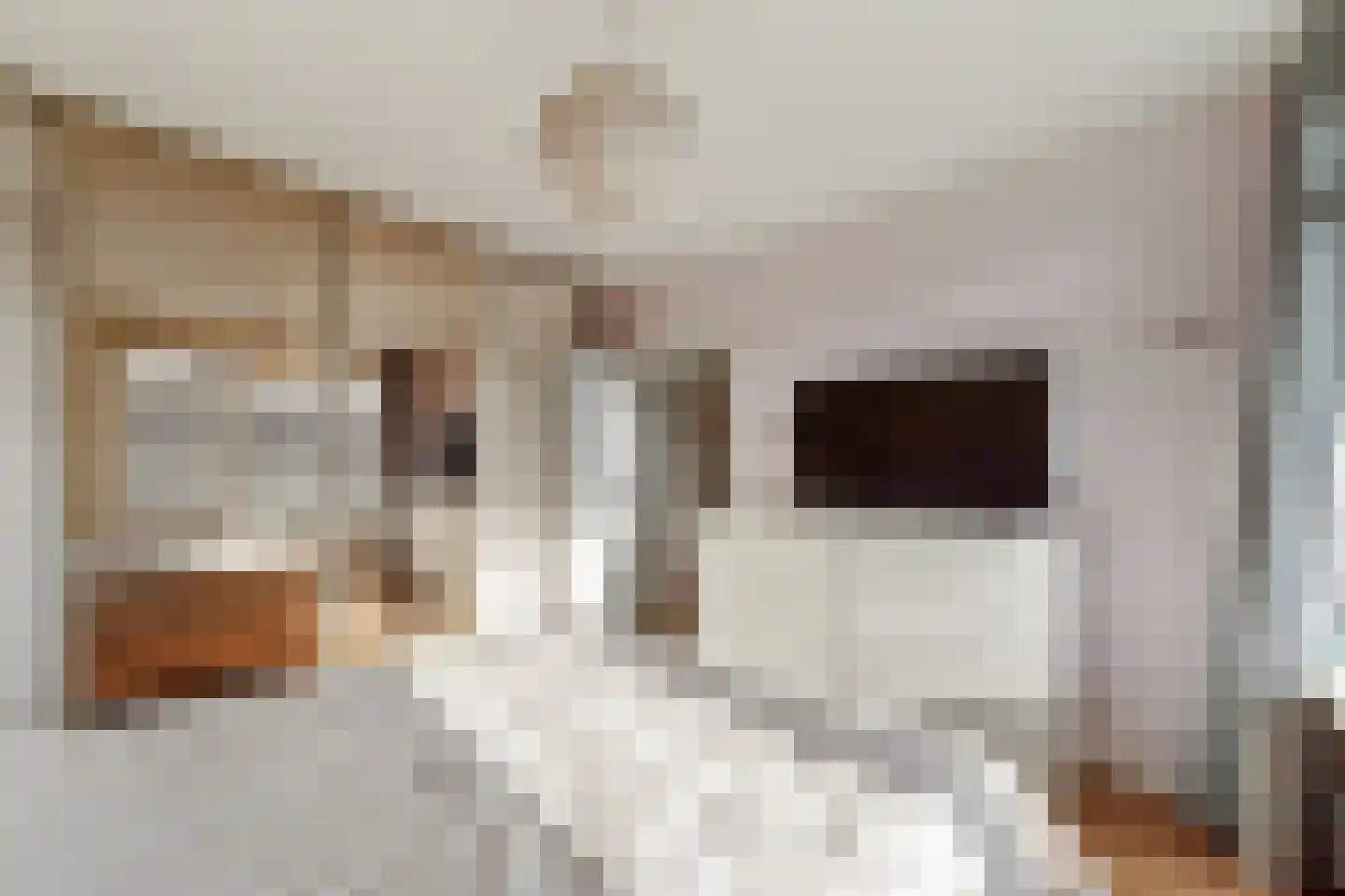Jacob van Lennepstraat 14 Voorburg thumbnail 18