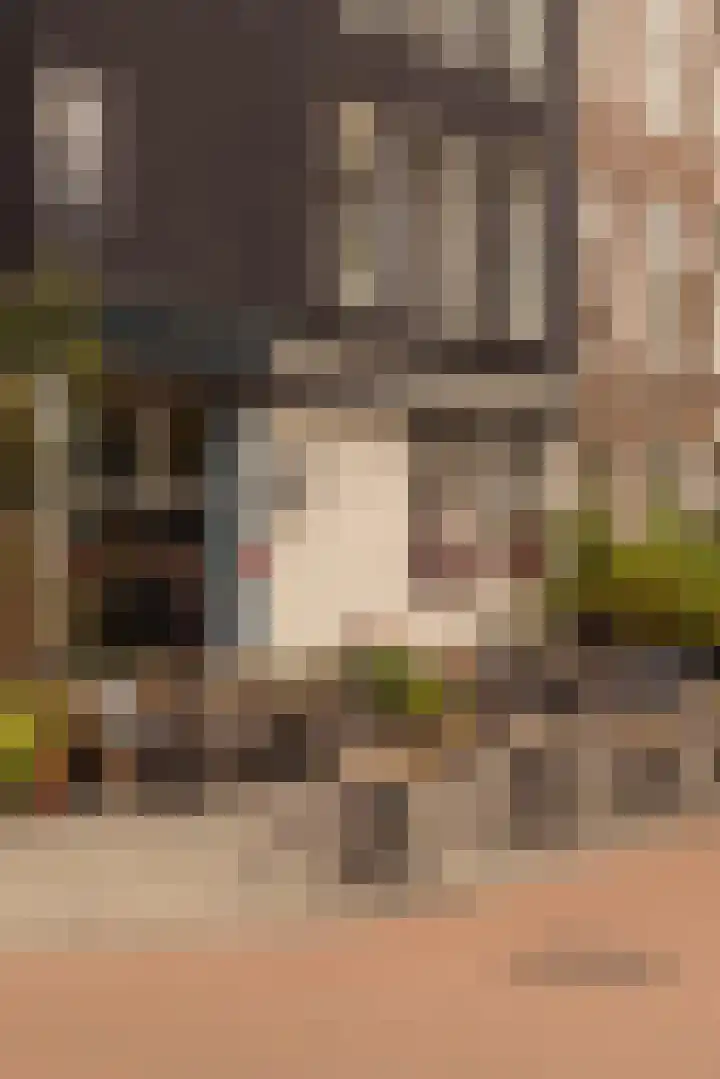 Jacob van Lennepstraat 15 1 Amsterdam thumbnail 31
