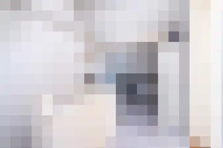 Jacob van Lennepstraat 17 Breda thumbnail 30