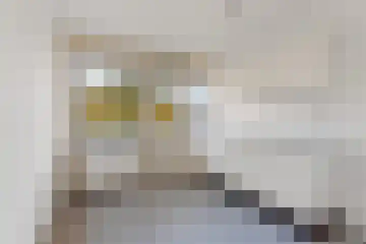 Jacob van Lennepstraat 209 Amsterdam thumbnail 6