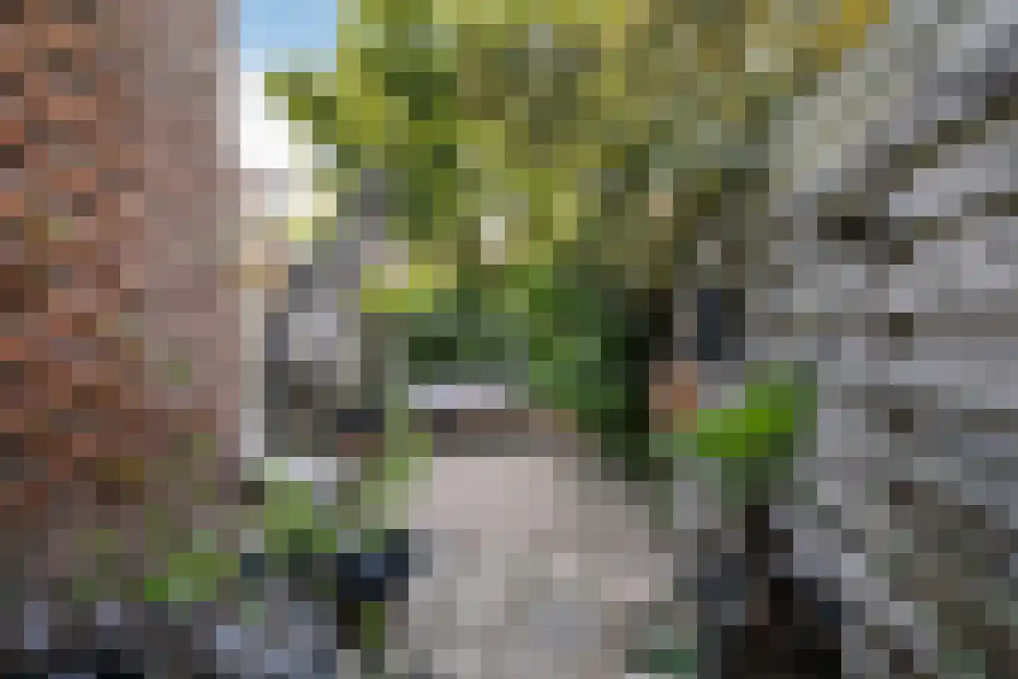 Jacob van Lennepstraat 21 A Schiedam thumbnail 11