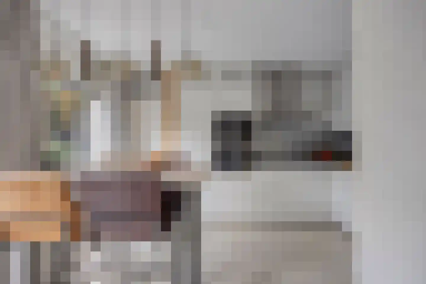 Jacob van Lennepstraat 25 Vlijmen thumbnail 13