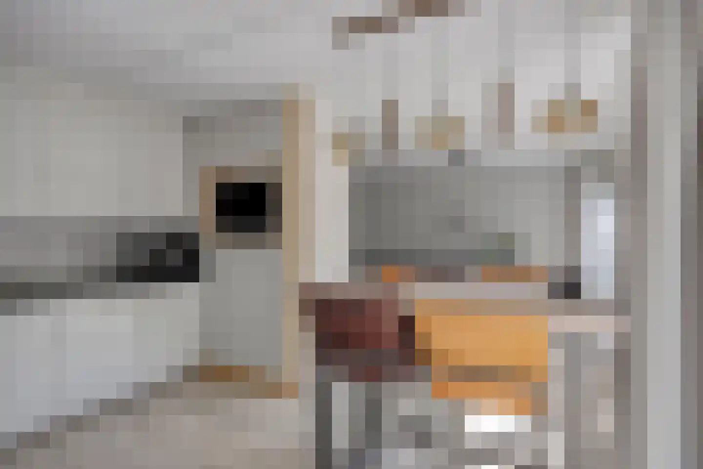 Jacob van Lennepstraat 25 Vlijmen thumbnail 16