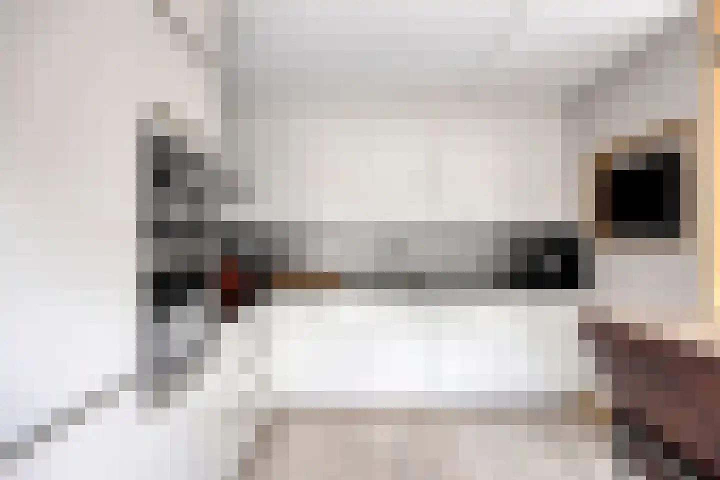 Jacob van Lennepstraat 25 Vlijmen thumbnail 19