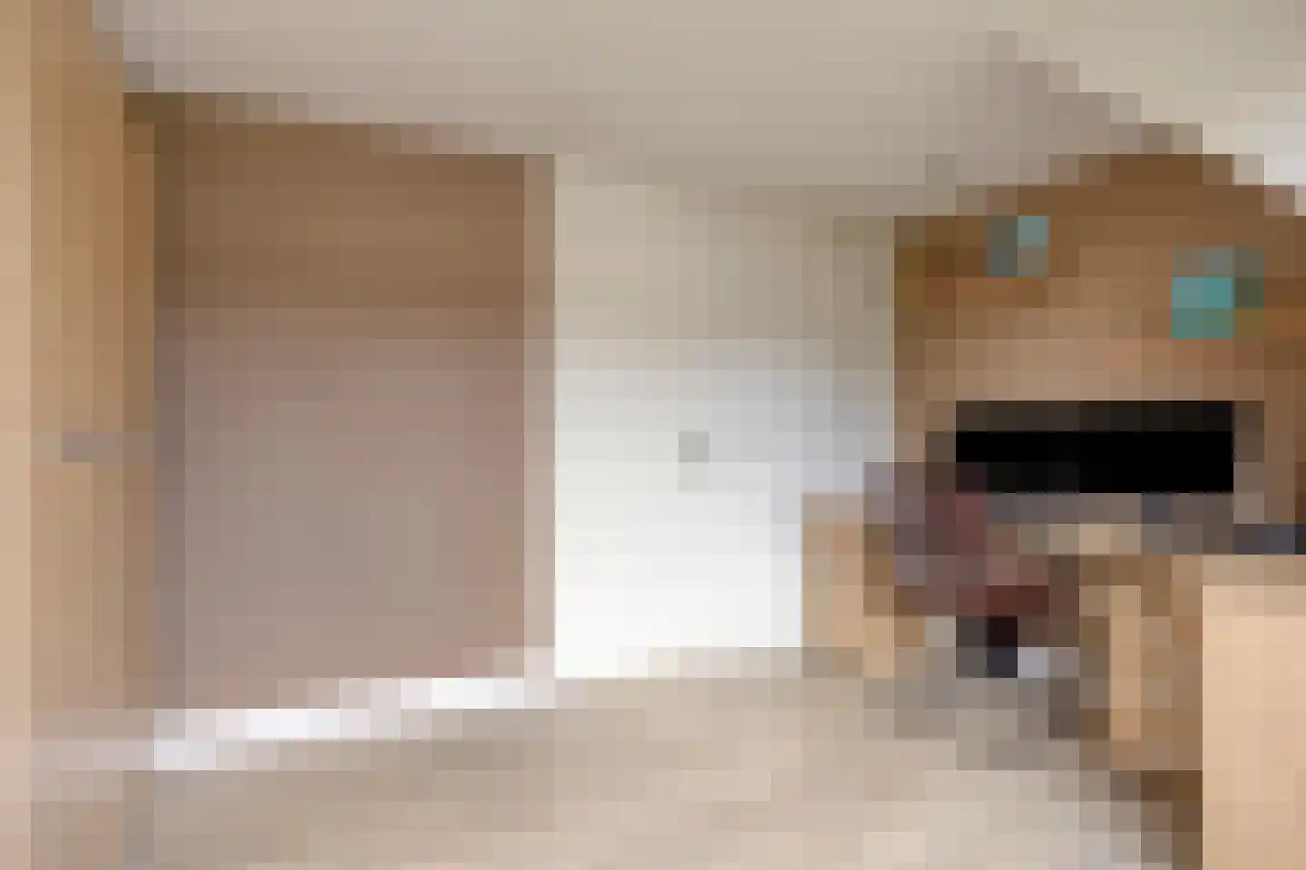 Jacob van Lennepstraat 25 Vlijmen thumbnail 35