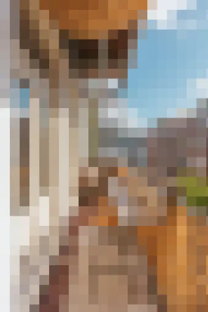 Jacob van Lennepstraat 37 2 Amsterdam thumbnail 17