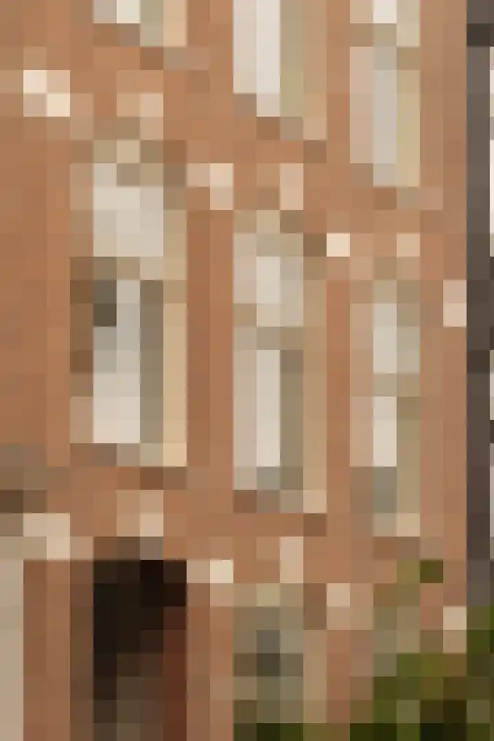 Jacob van Lennepstraat 37 2 Amsterdam thumbnail 6