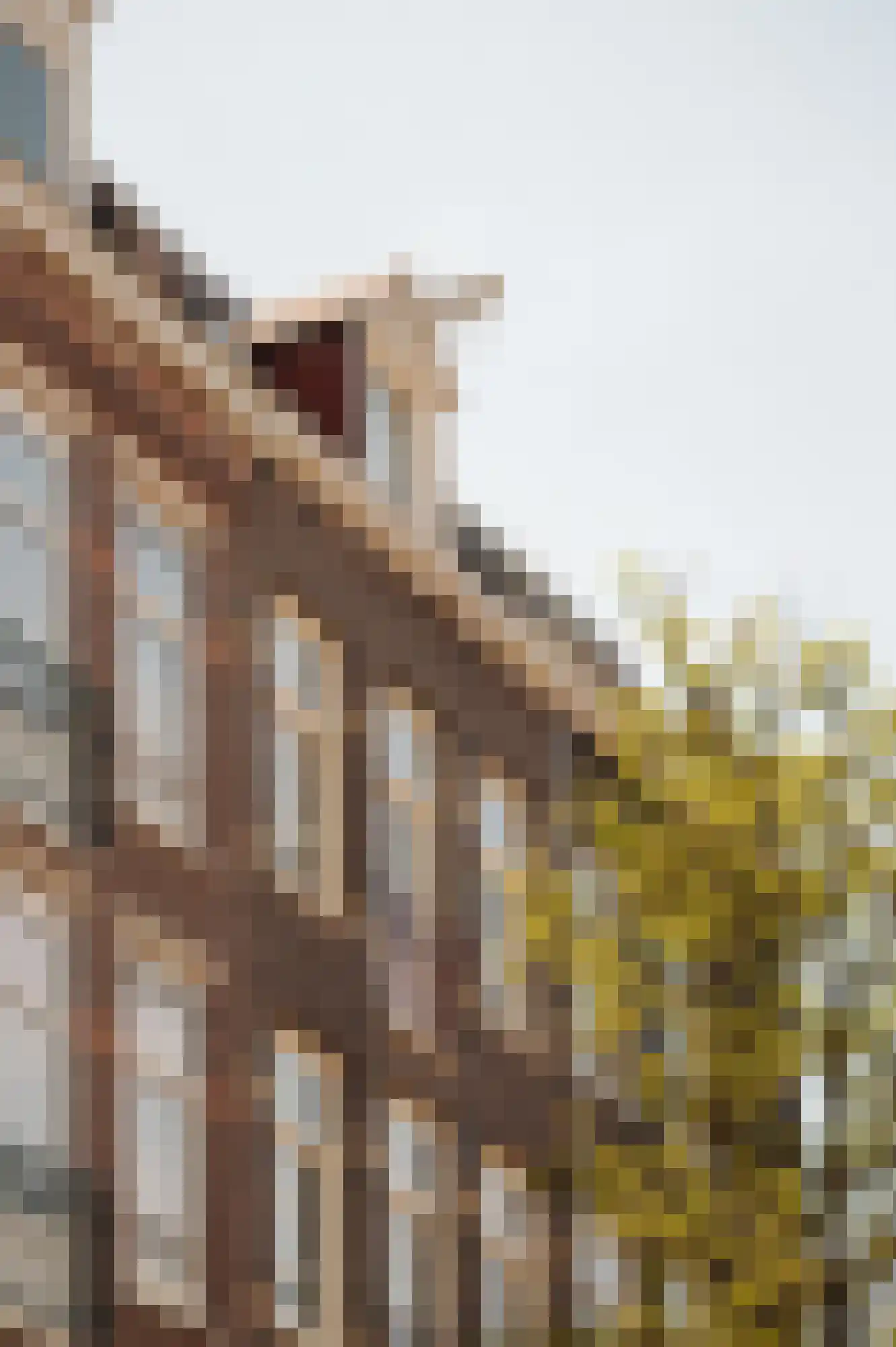 Jacob van Lennepstraat 375 C Amsterdam thumbnail 23