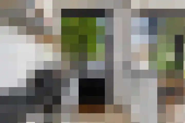 Jacob van Lennepstraat 5 Dordrecht thumbnail 22