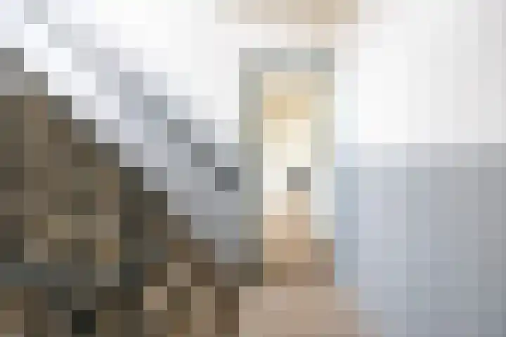 Jacob van Lennepstraat 51 Voorburg thumbnail 4
