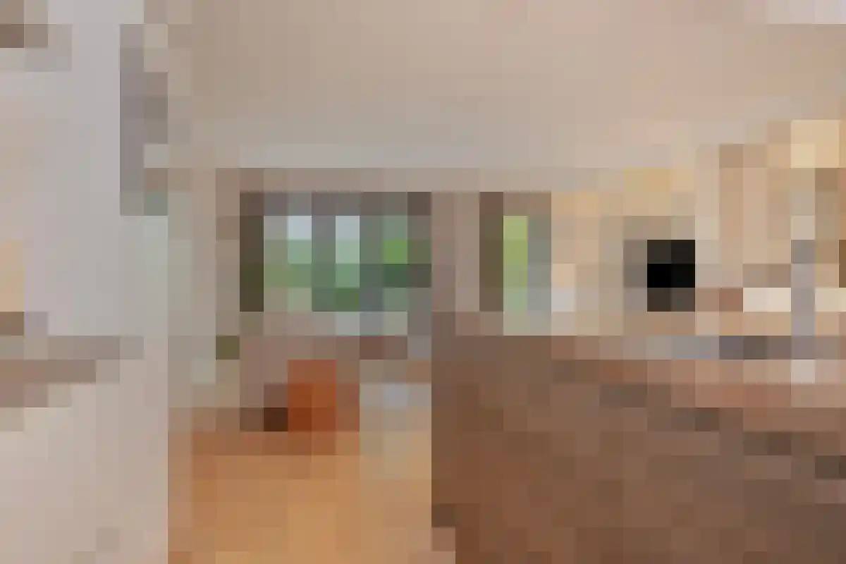 Jacob van Lennepstraat 7 Amsterdam thumbnail 5
