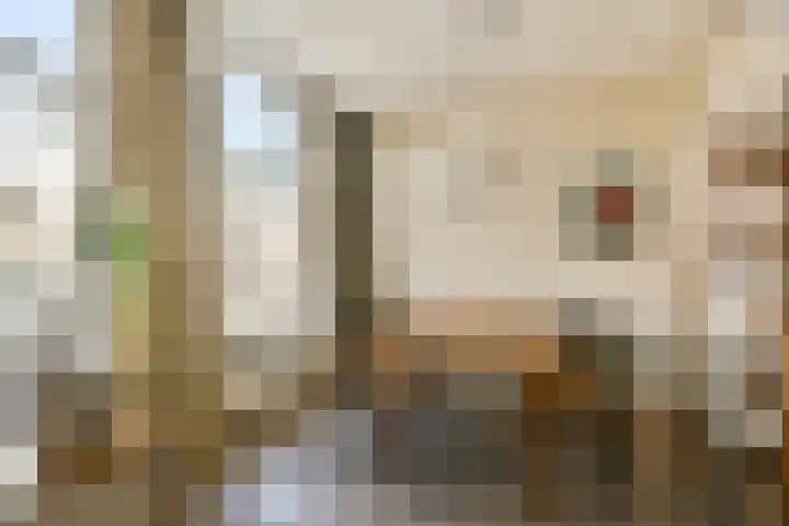 Jacob van Lennepstraat 9 2 Amsterdam thumbnail 6