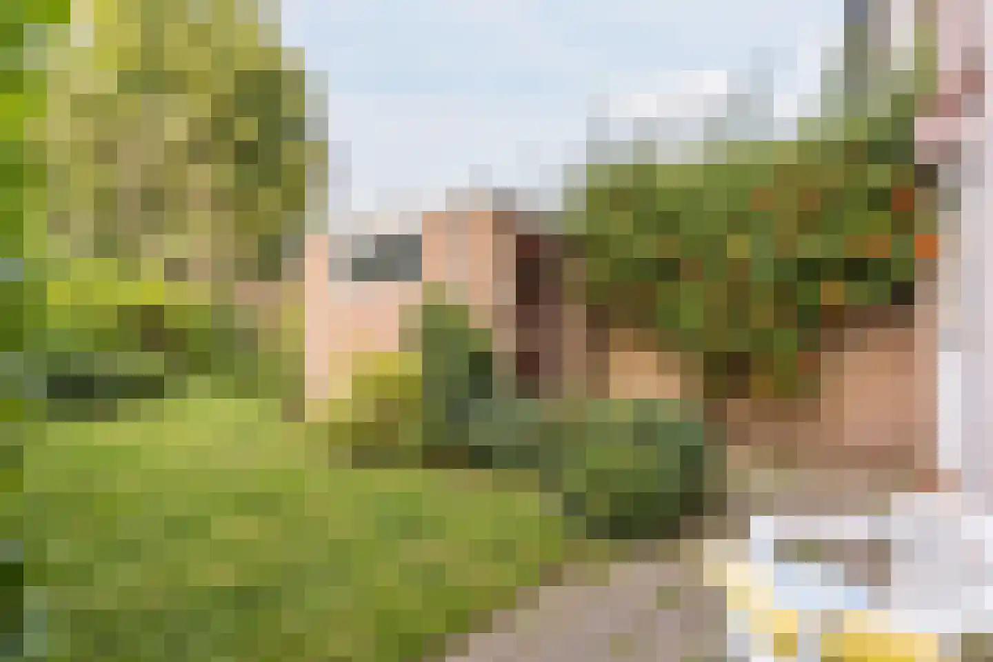 Jacob van Lichtenbergstraat 2 Mijdrecht thumbnail 4
