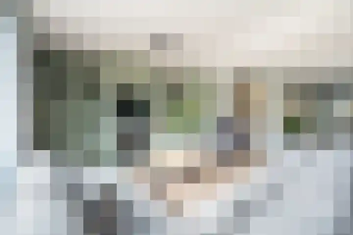 Jacob van Looyhof 5 Gorinchem thumbnail 11