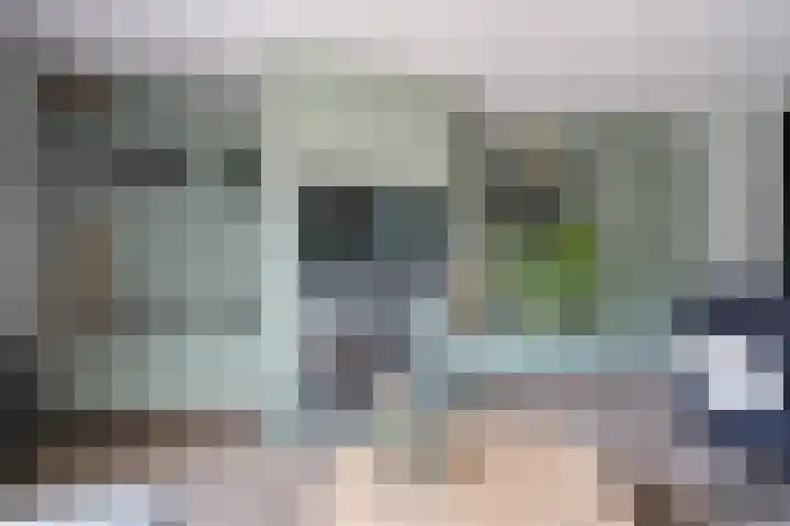 Jacob van Looyhof 5 Gorinchem thumbnail 13